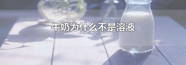 牛奶为什么不是溶液