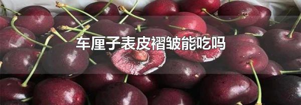 车厘子表皮褶皱能吃吗