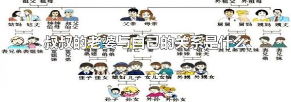 叔叔的老婆与自己的关系是什么
