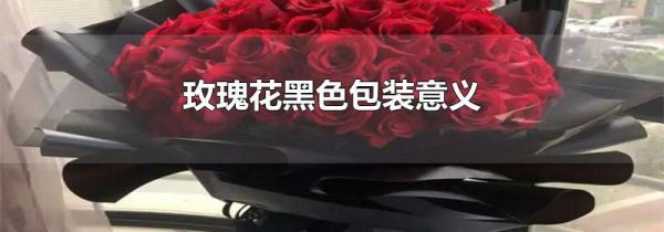玫瑰花黑色包装意义