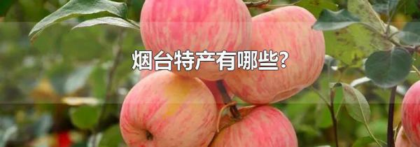 烟台特产有哪些?