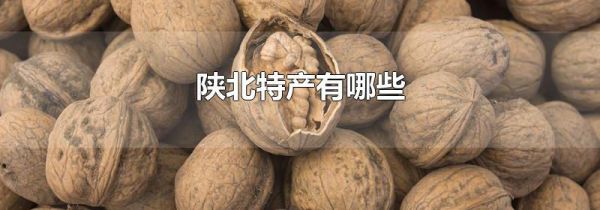 陕北特产有哪些