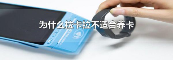 为什么拉卡拉不适合养卡