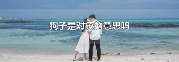 狗子是对象的意思吗
