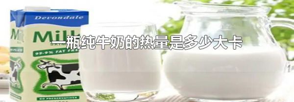 一瓶纯牛奶的热量是多少大卡