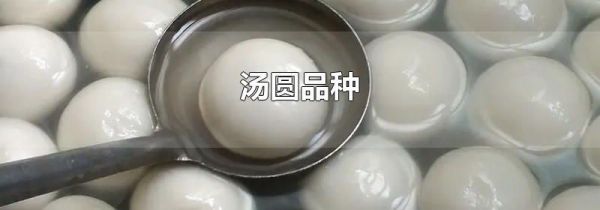汤圆品种