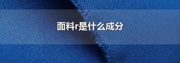 面料r是什么成分