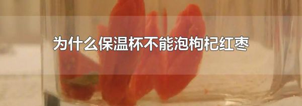 为什么保温杯不能泡枸杞红枣