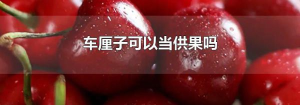 车厘子可以当供果吗