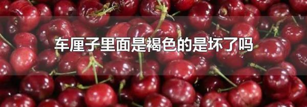 车厘子里面是褐色的是坏了吗