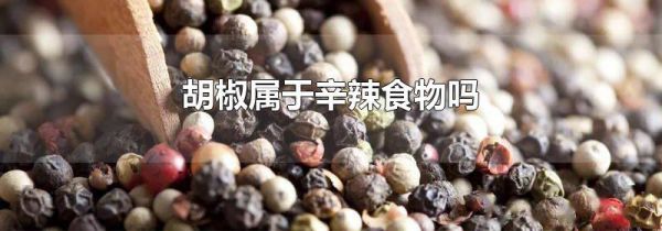 胡椒属于辛辣食物吗