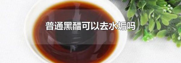 普通黑醋可以去水垢吗
