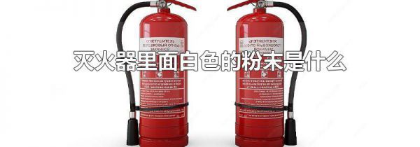 灭火器里面白色的粉末是什么
