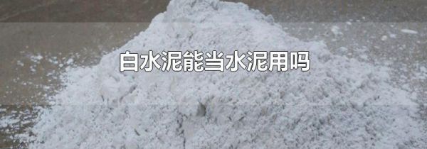 白水泥能当水泥用吗