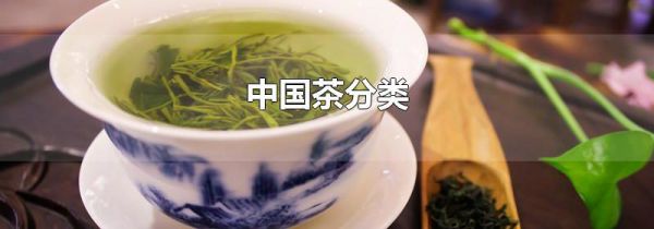 中国茶分类