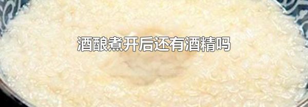 酒酿煮开后还有酒精吗