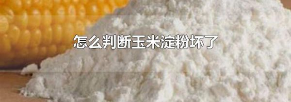 怎么判断玉米淀粉坏了