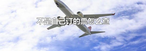 不是自己订的票怎么查