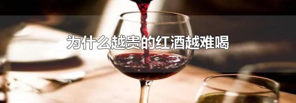 为什么越贵的红酒越难喝