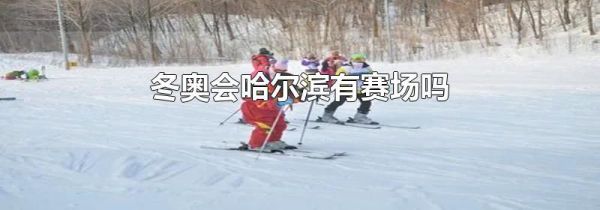 冬奥会哈尔滨有赛场吗