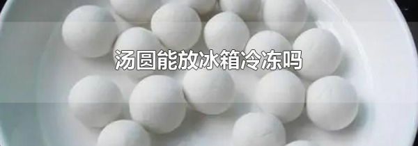 汤圆能放冰箱冷冻吗