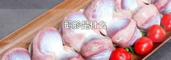 鹅胗是什么