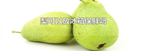 梨可以放冰箱保鲜吗