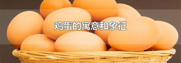 鸡蛋的寓意和象征