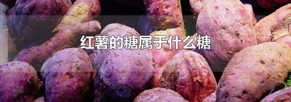 红薯的糖属于什么糖