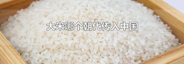 大米哪个朝代传入中国