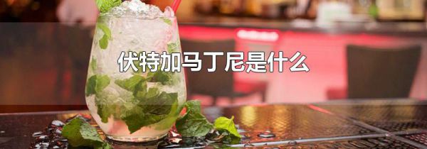 伏特加马丁尼是什么
