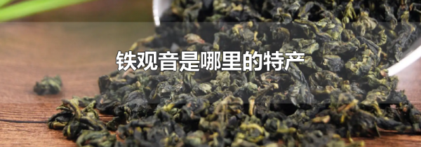 铁观音是哪里的特产