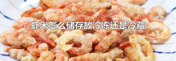 虾米怎么储存放冷冻还是冷藏