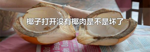 椰子打开没有椰肉是不是坏了