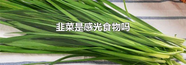 韭菜是感光食物吗