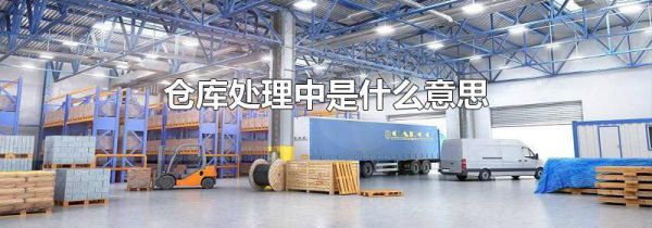 仓库处理中是什么意思