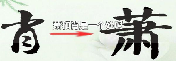 萧和肖是一个姓吗