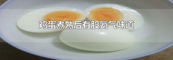 鸡蛋煮熟后有股氨气味道