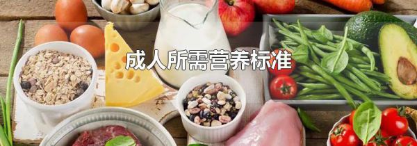 成人所需营养标准