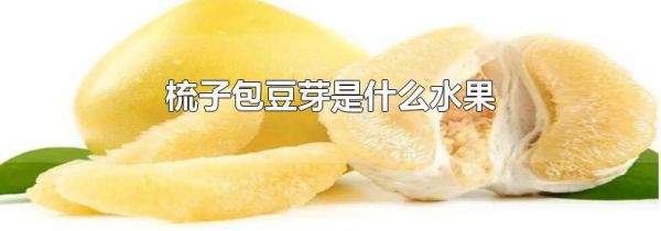 梳子包豆芽是什么水果