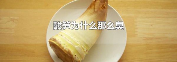 酸笋为什么那么臭
