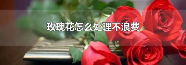 玫瑰花怎么处理不浪费
