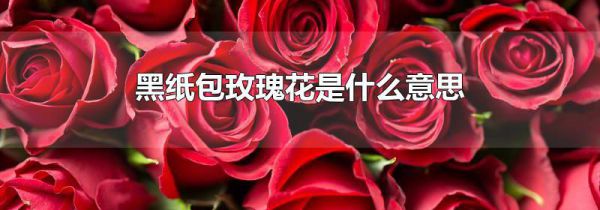 黑纸包玫瑰花是什么意思