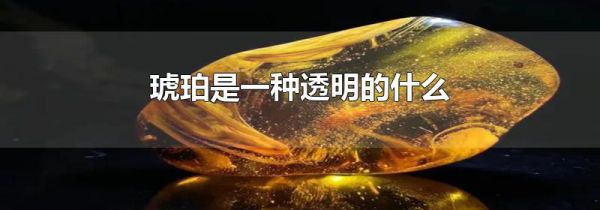 琥珀是一种透明的什么