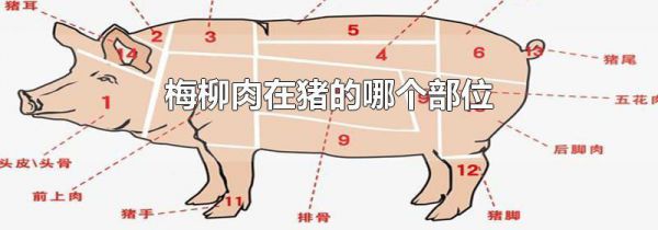 梅柳肉在猪的哪个部位