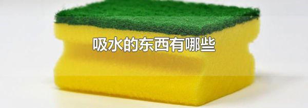 吸水的东西有哪些