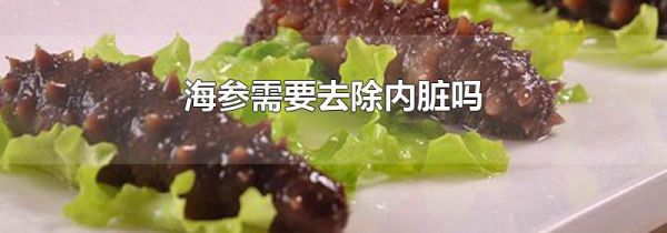 海参需要去除内脏吗