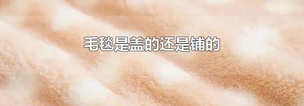 毛毯是盖的还是铺的