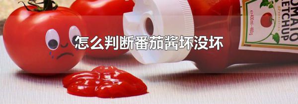 怎么判断番茄酱坏没坏