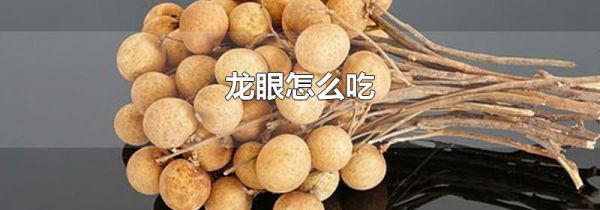 龙眼怎么吃